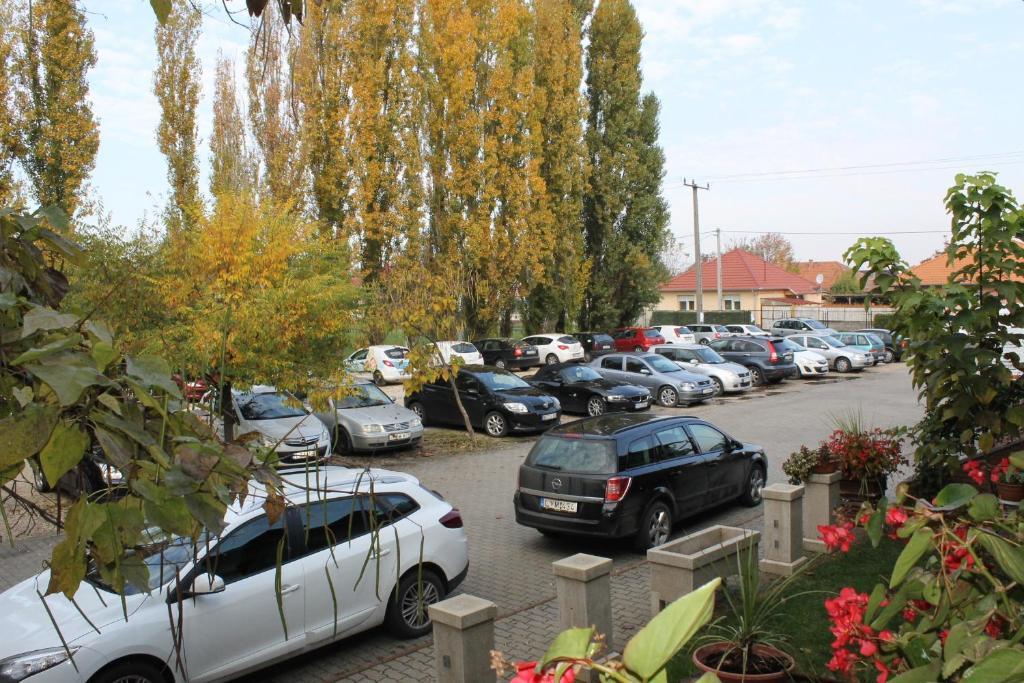 Bajor Panzio Bed & Breakfast Kecskemet Exterior photo